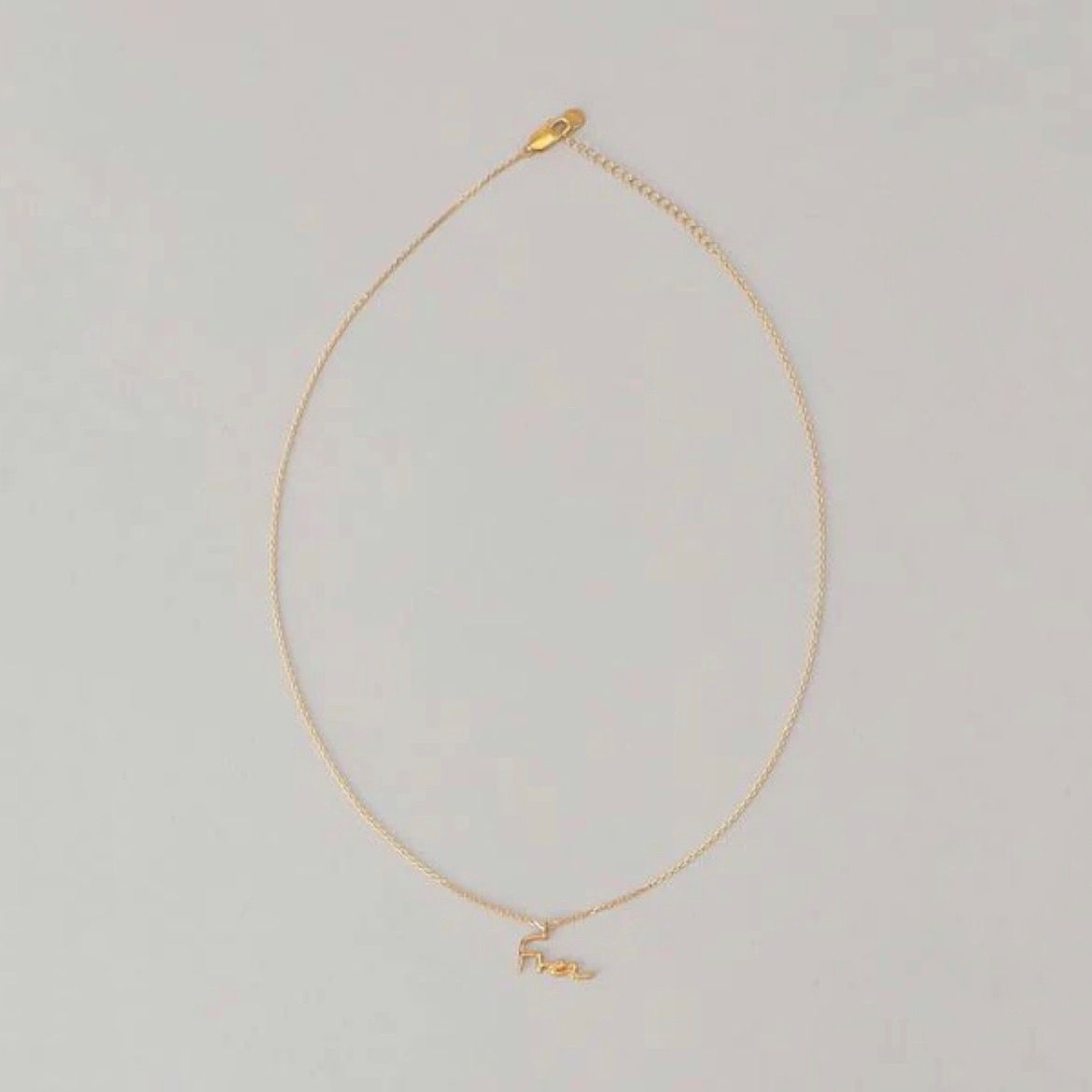 【お取り寄せ注文可能】Free Necklace