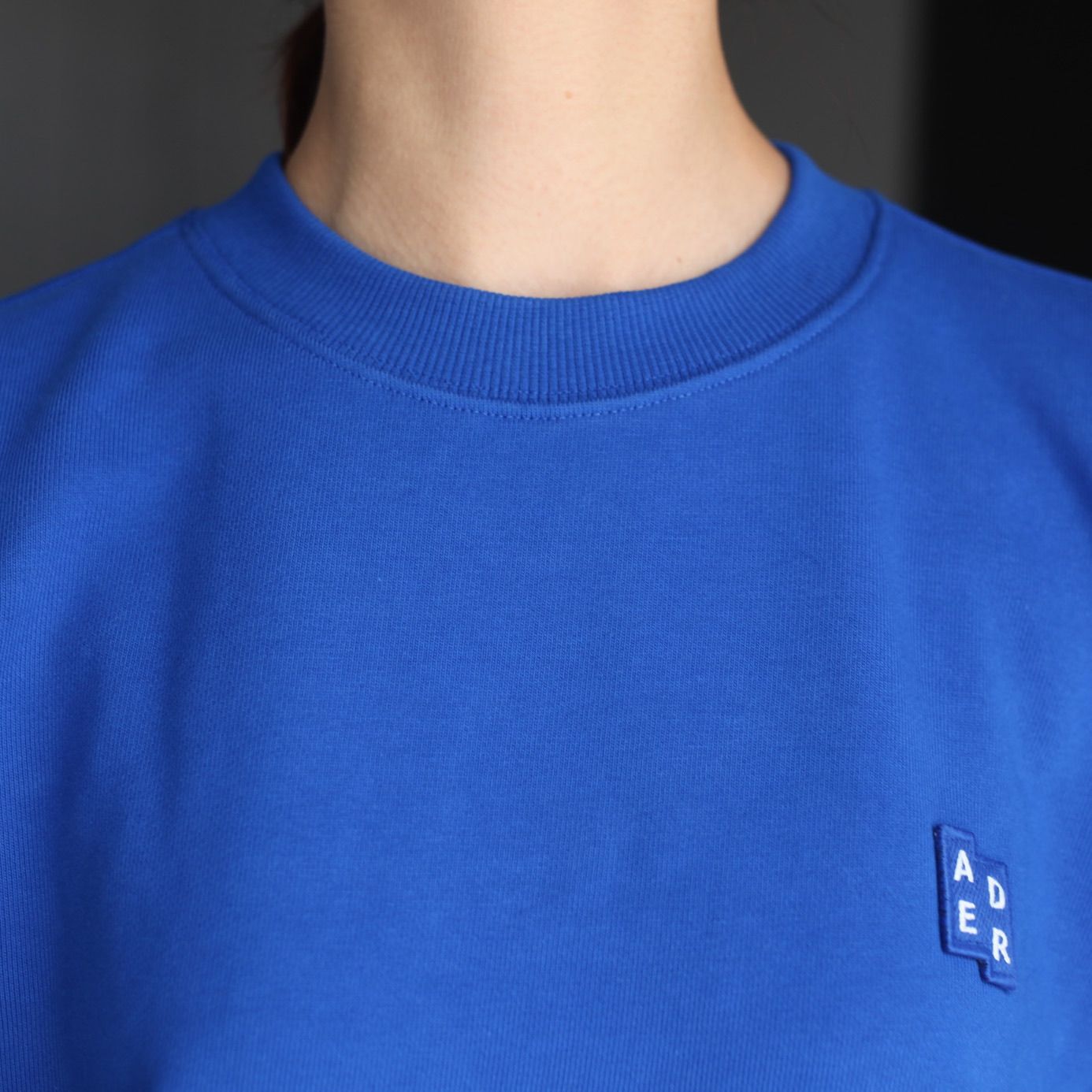 【残り一点】Sig; BL Tag Sweatshirt 01