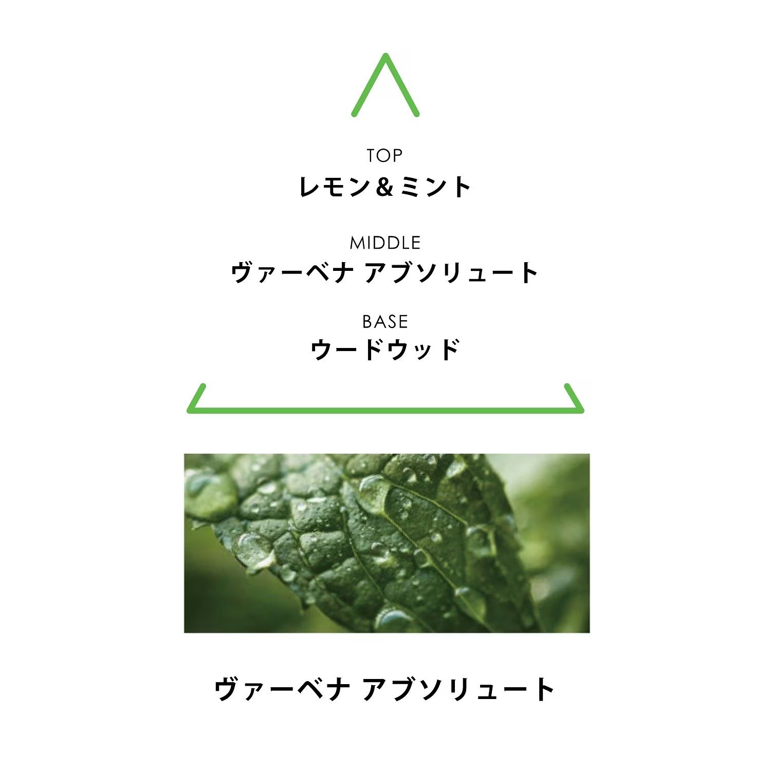 【残りわずか】ボタニカルコロン 10ml(AQUA MILLEFOLIA)