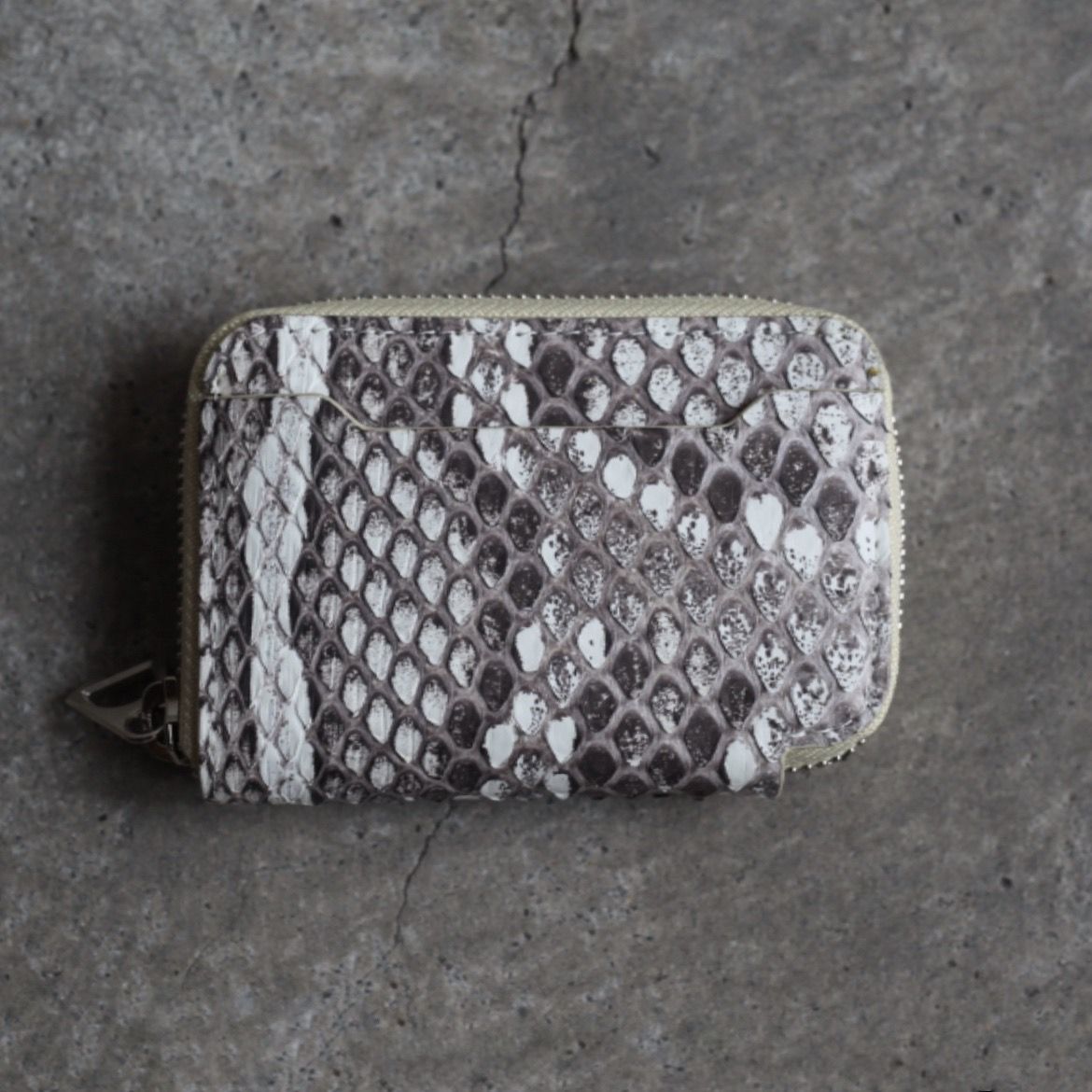 【残りわずか】Cristy Coin Card WLT(MOLURUS)