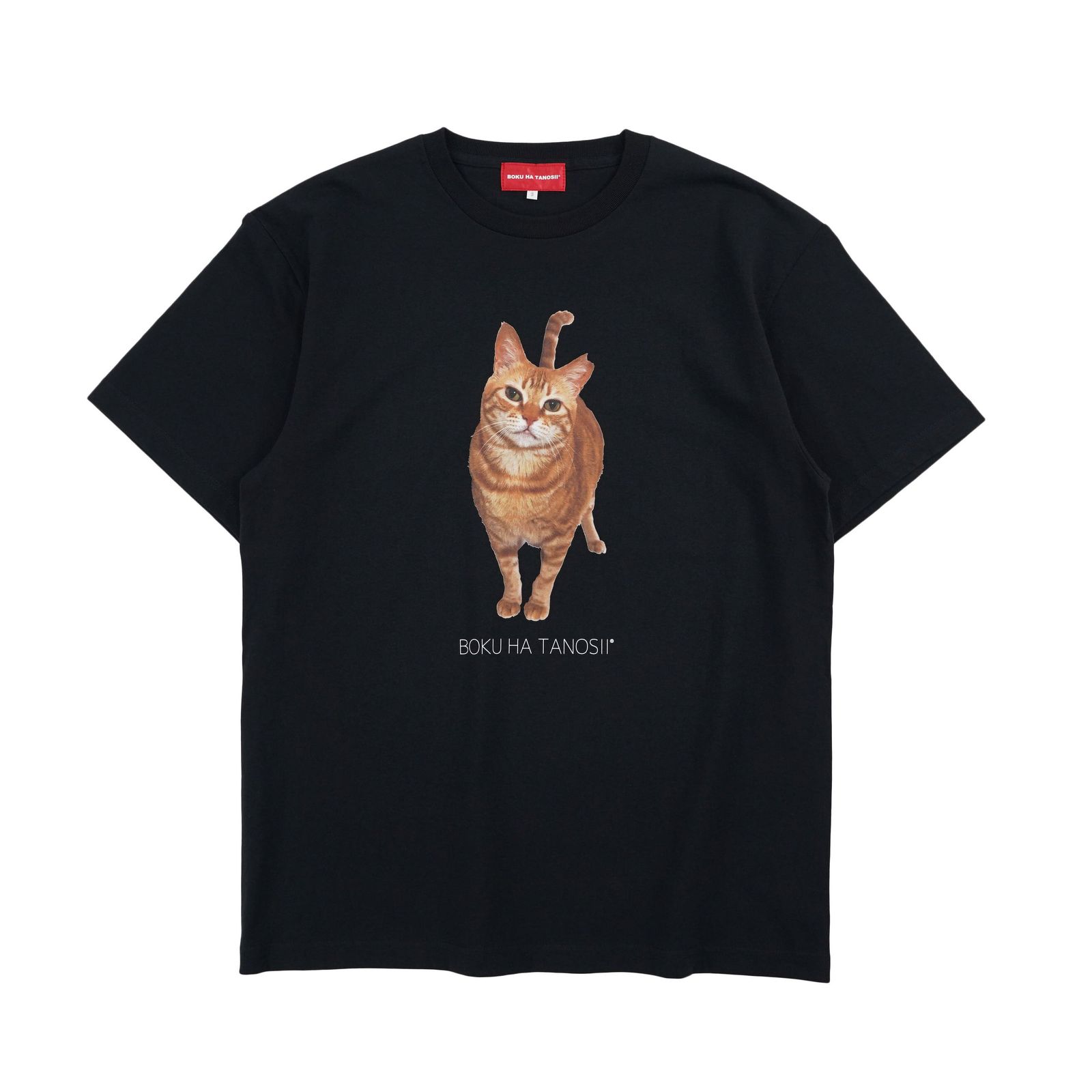 【残り一点】Science Photo Tee(HOUSE CAT)