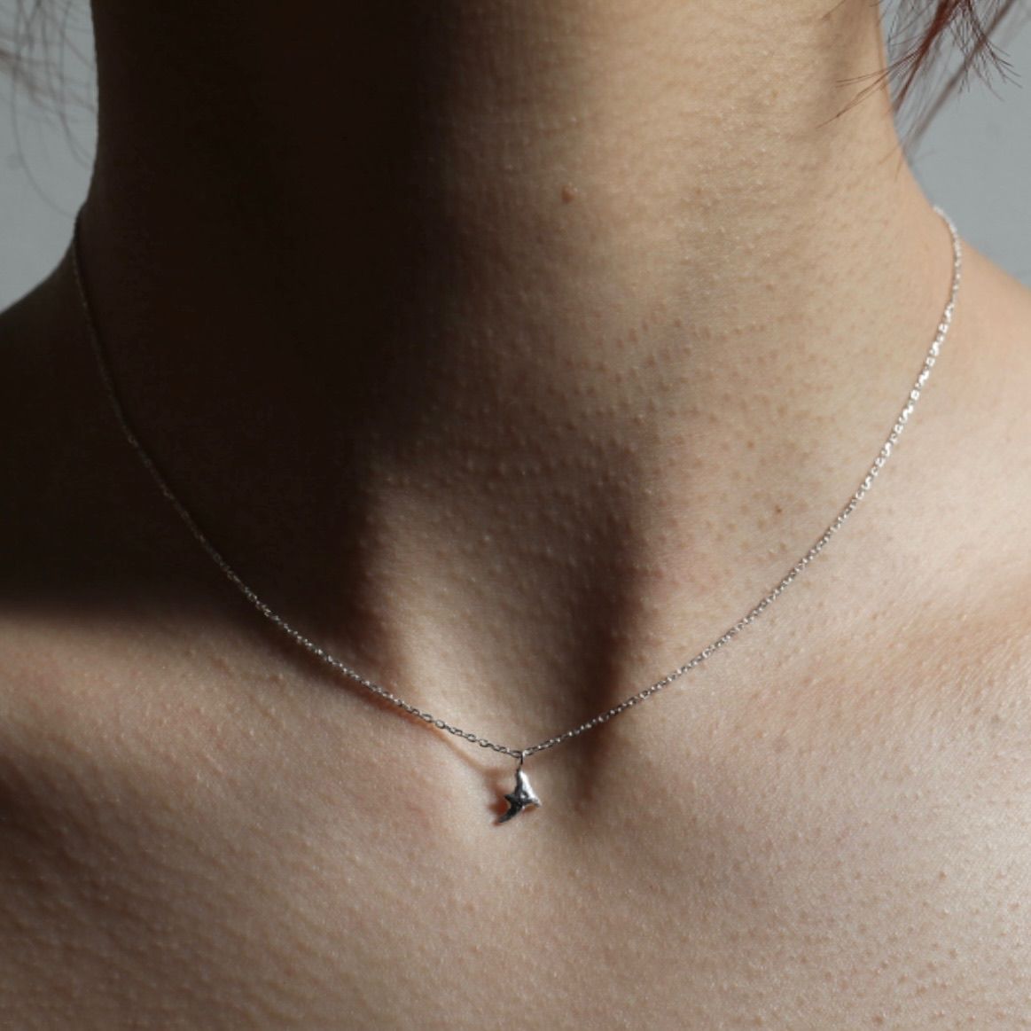 美品 IENA PREEK プリーク PIGEIN ネックレス シルバー