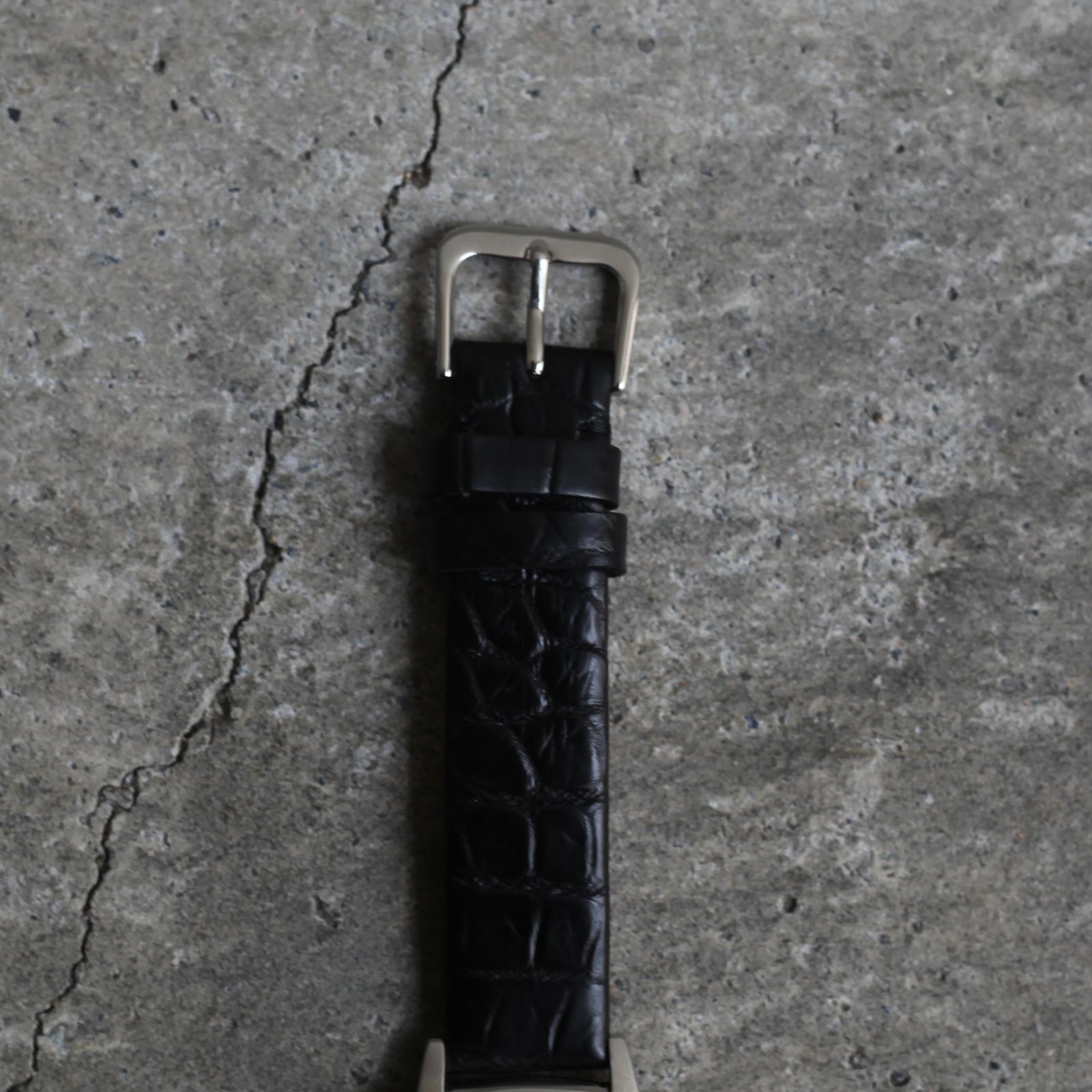 【残り一点】Coussin 12 Croco(WOMEN/SILVER×BLACK)