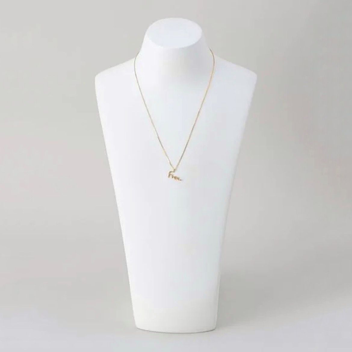 【お取り寄せ注文可能】Free Necklace