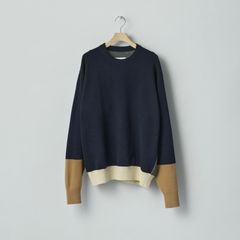 【残りわずか】Extra Fine Wool Knit Color Block LS