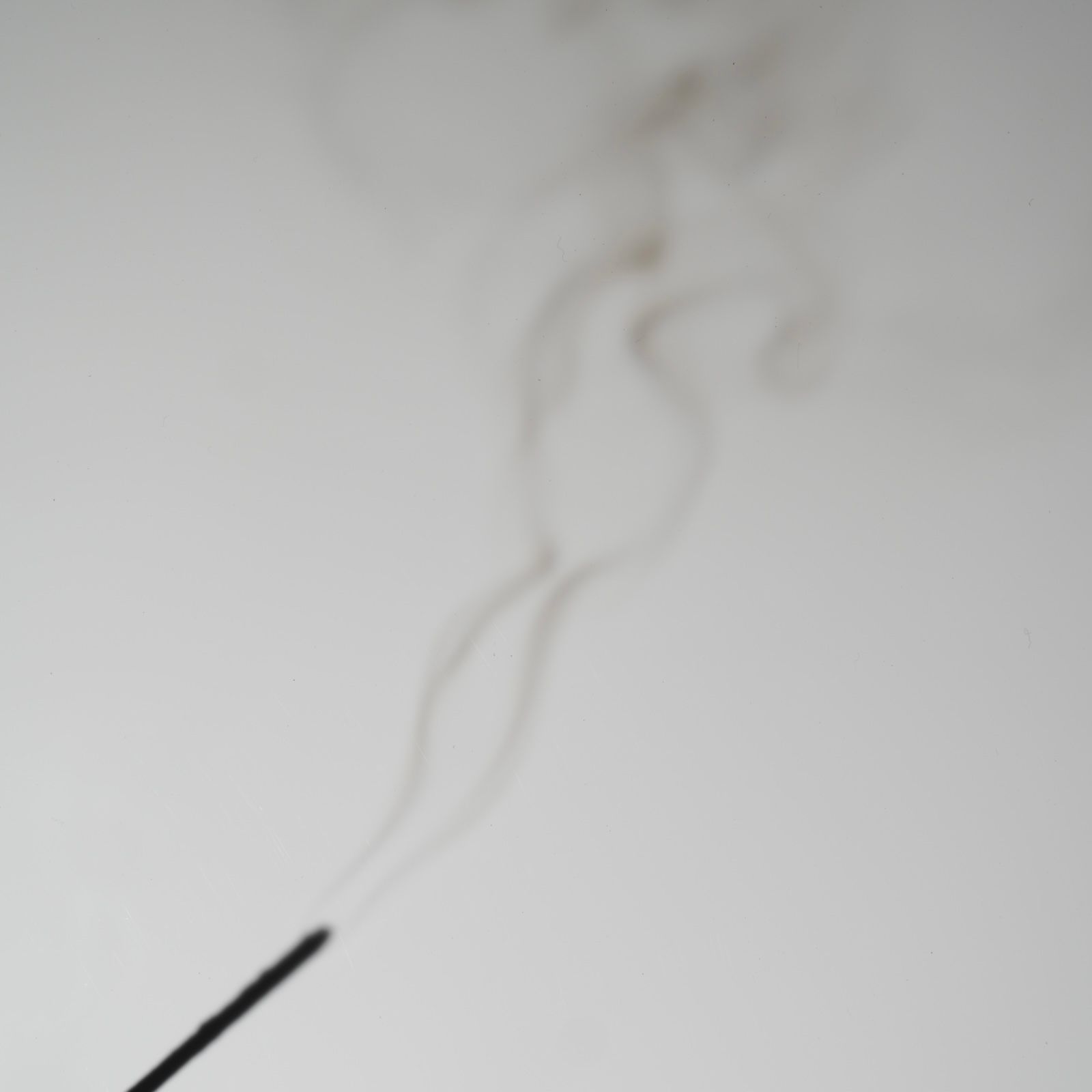 【残り一点】Incense(TROPICAL CLASH)