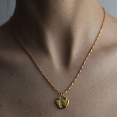 【お取り寄せ注文可能】Coin Necklace
