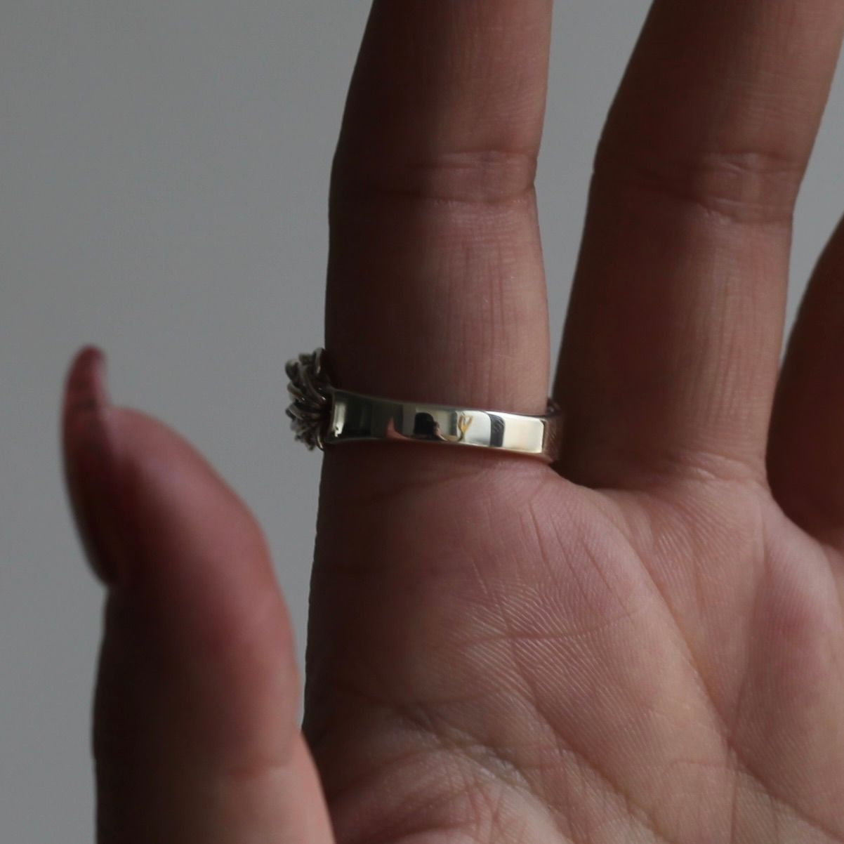 【残り一点】Anchor Chain Cluster Ring