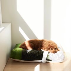 【残り一点】Jeju Orrum Pet Cushion