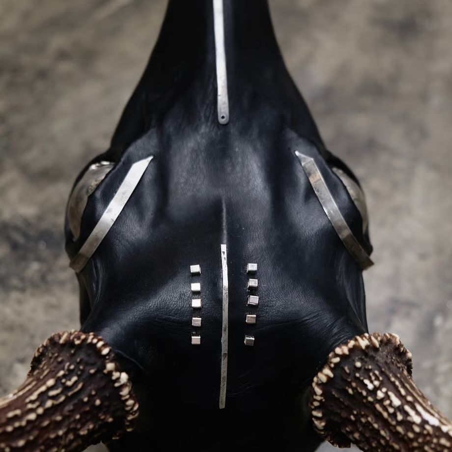 【お取り寄せ注文可能】Revive Deer Head(TIBETAN SKULL)