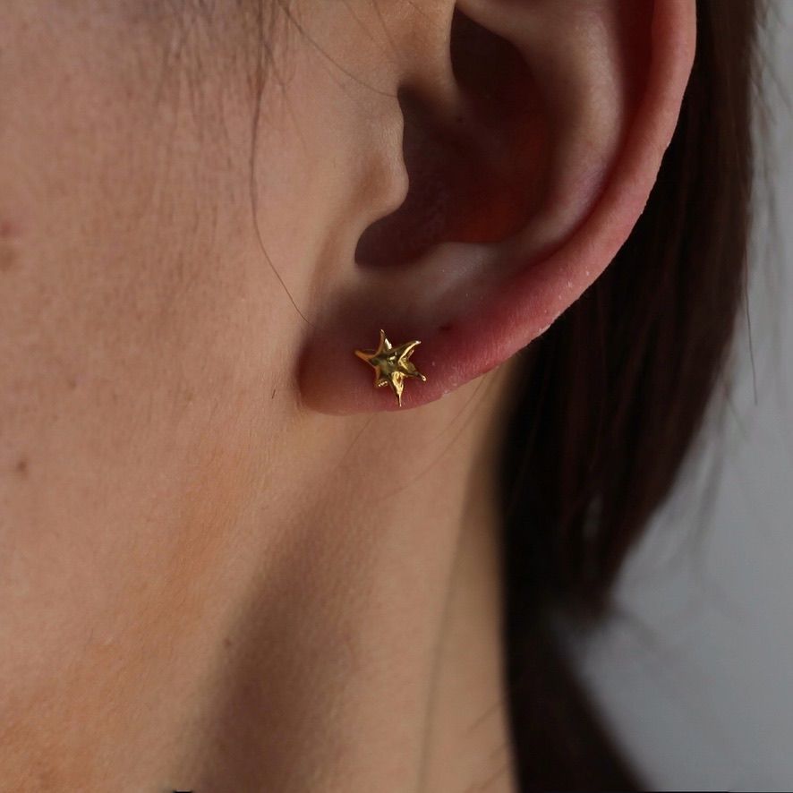 【お取り寄せ注文可能】Mini Star Earrings