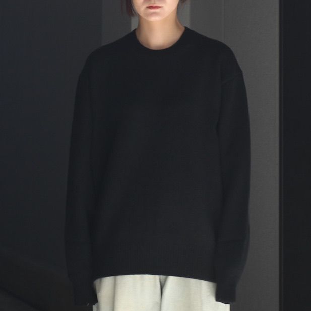 【残りわずか】Extra Fine Wool Warm Knit Crew Neck LS