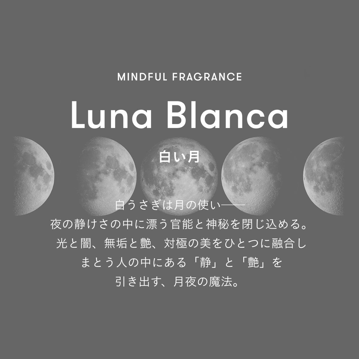 【残り一点】トゥーグッドシルキースムースオイル 50ml(LUNA BLANCA)