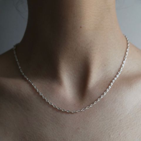 【お取り寄せ注文可能】Anchor Chain Necklace