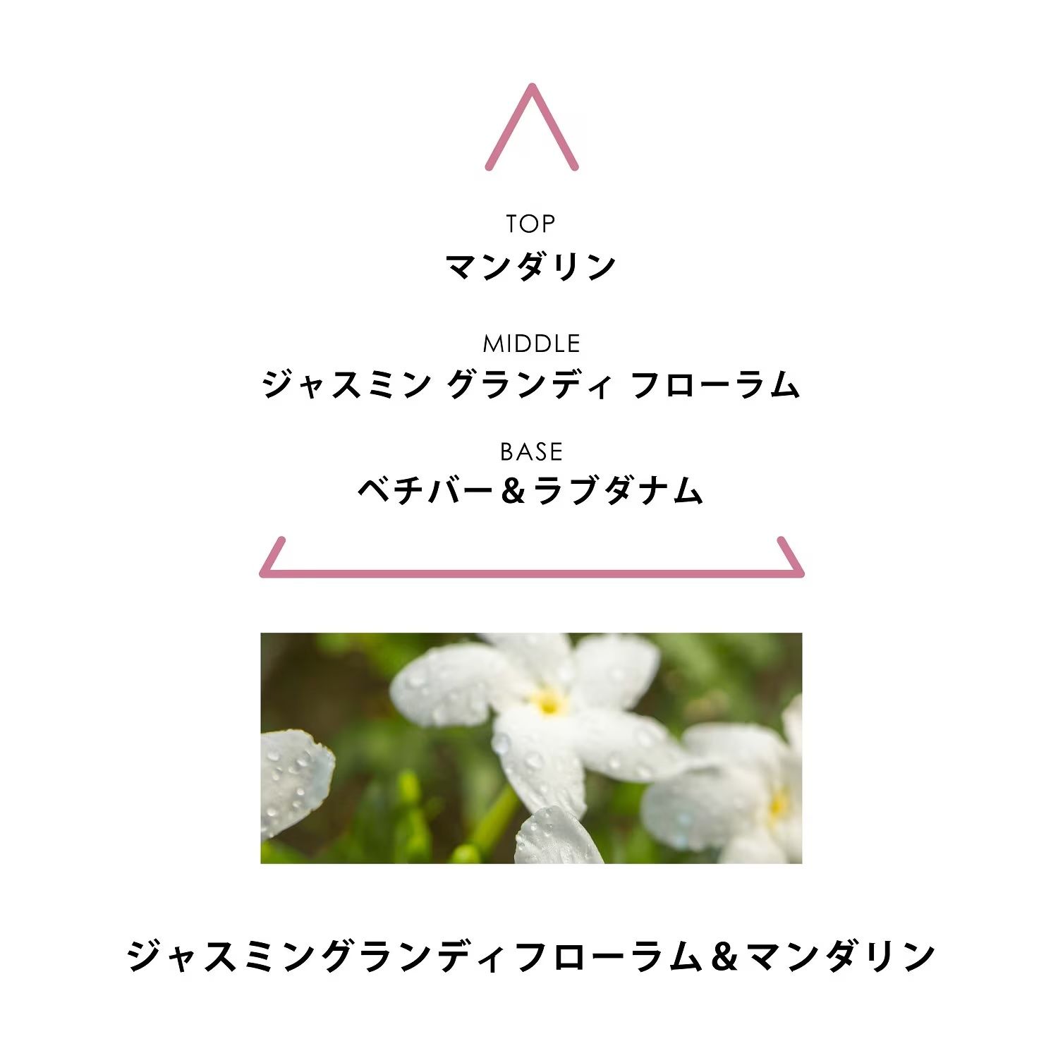 【残り一点】シンギュラーオードパルファム 50ml(LYSANDRA)