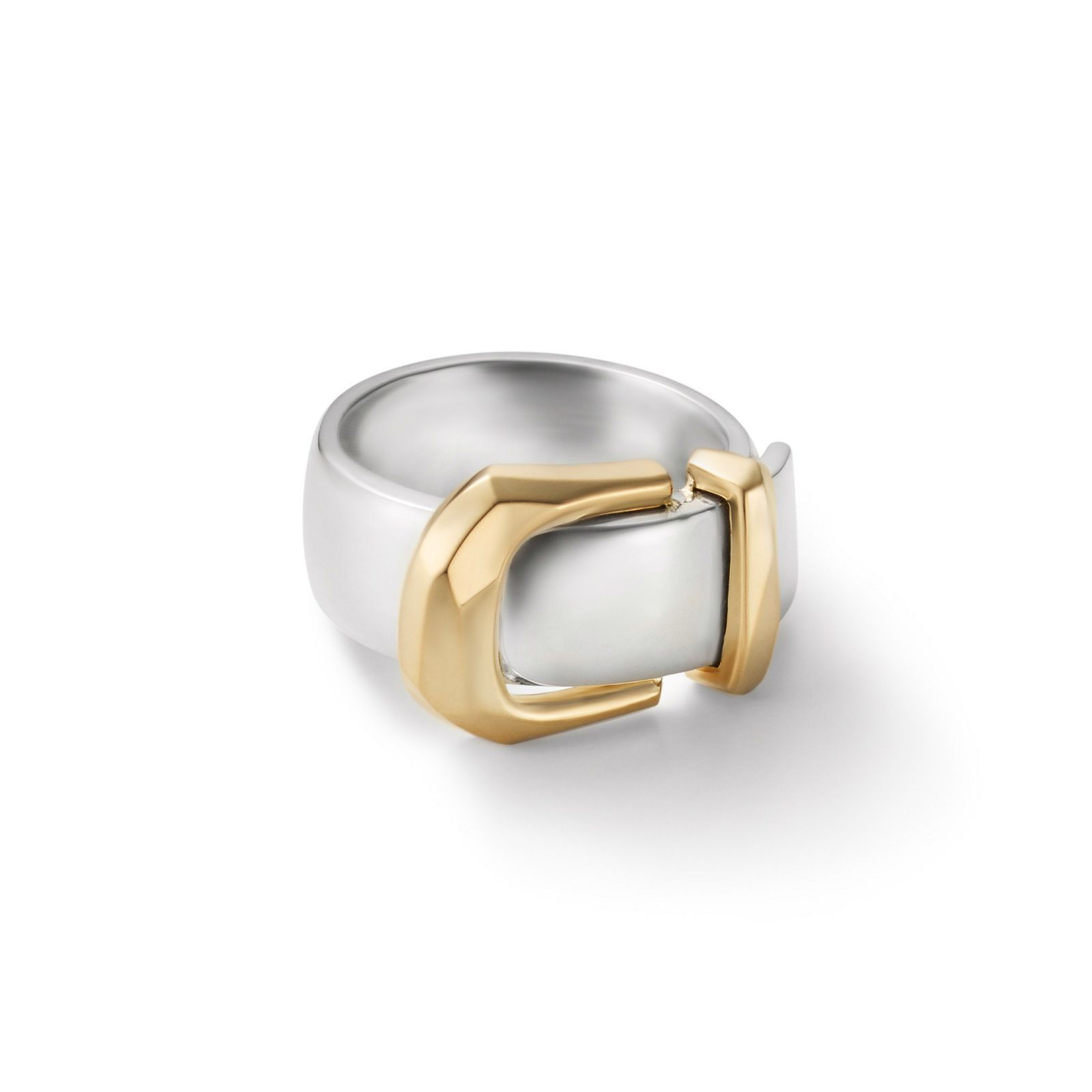 【お取り寄せ注文可能】Buckle Ring_L(SILVER×GOLD)