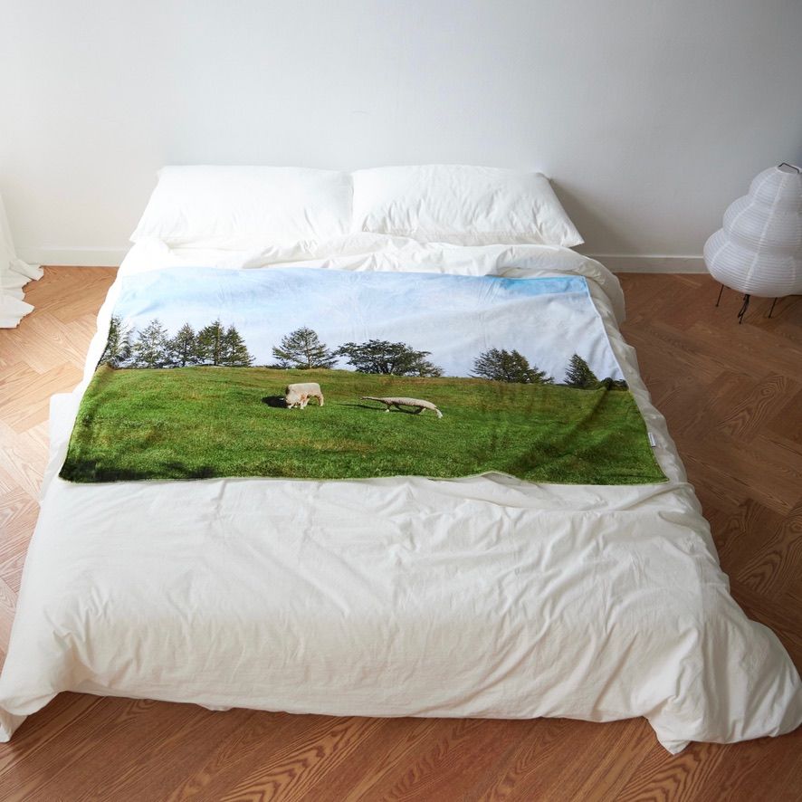 BELMONT フリースブランケット グレー/オリーブ Amazon.com: LALIFIT Plaid Throw Blanket with Fringes Green