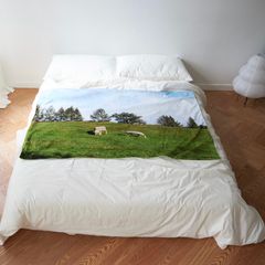 【再販売通知受付可能】Gangwondo Sheep 2 Blanket S