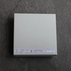 【お取り寄せ注文可能】Flat Square Ring