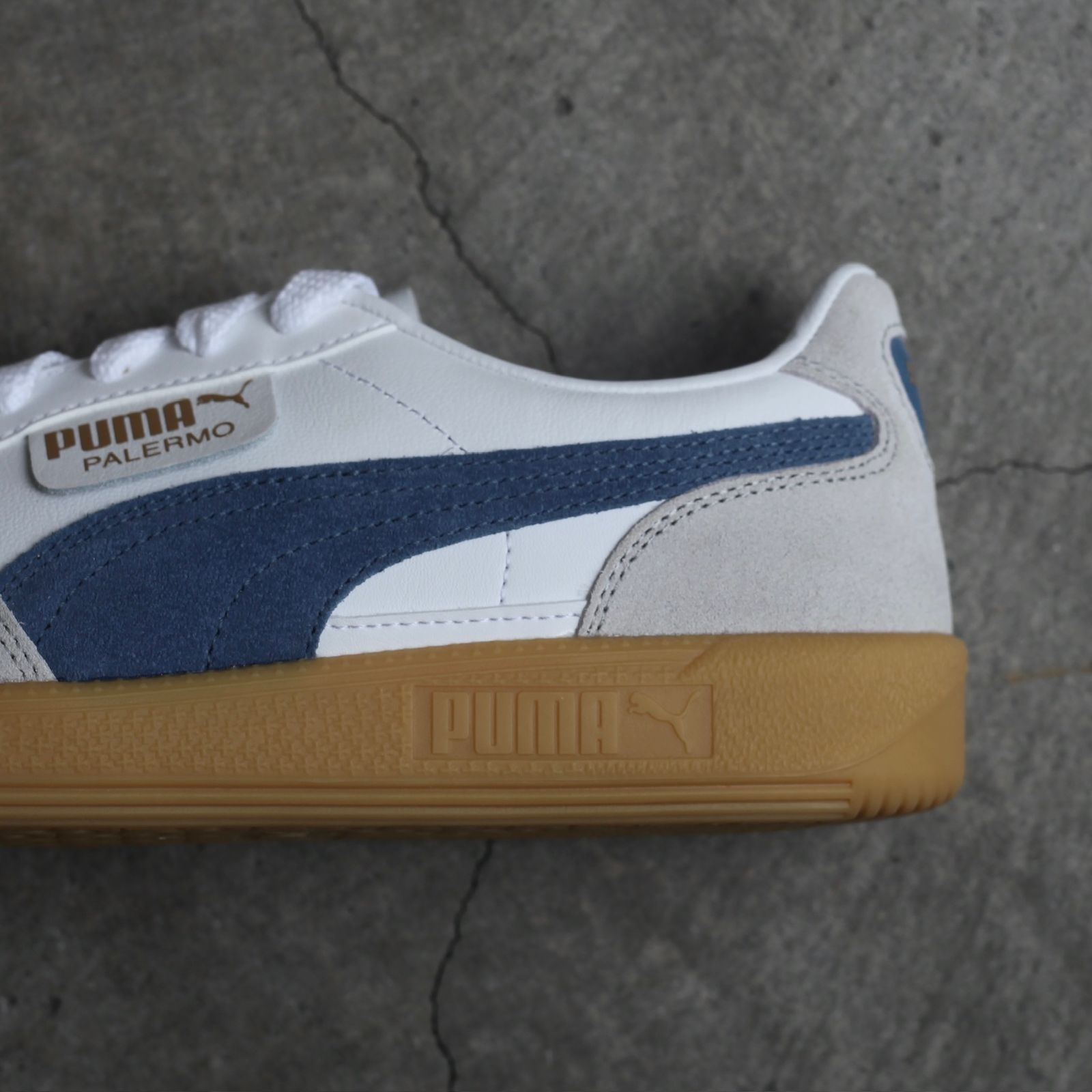 【残り一点】Palermo LTH