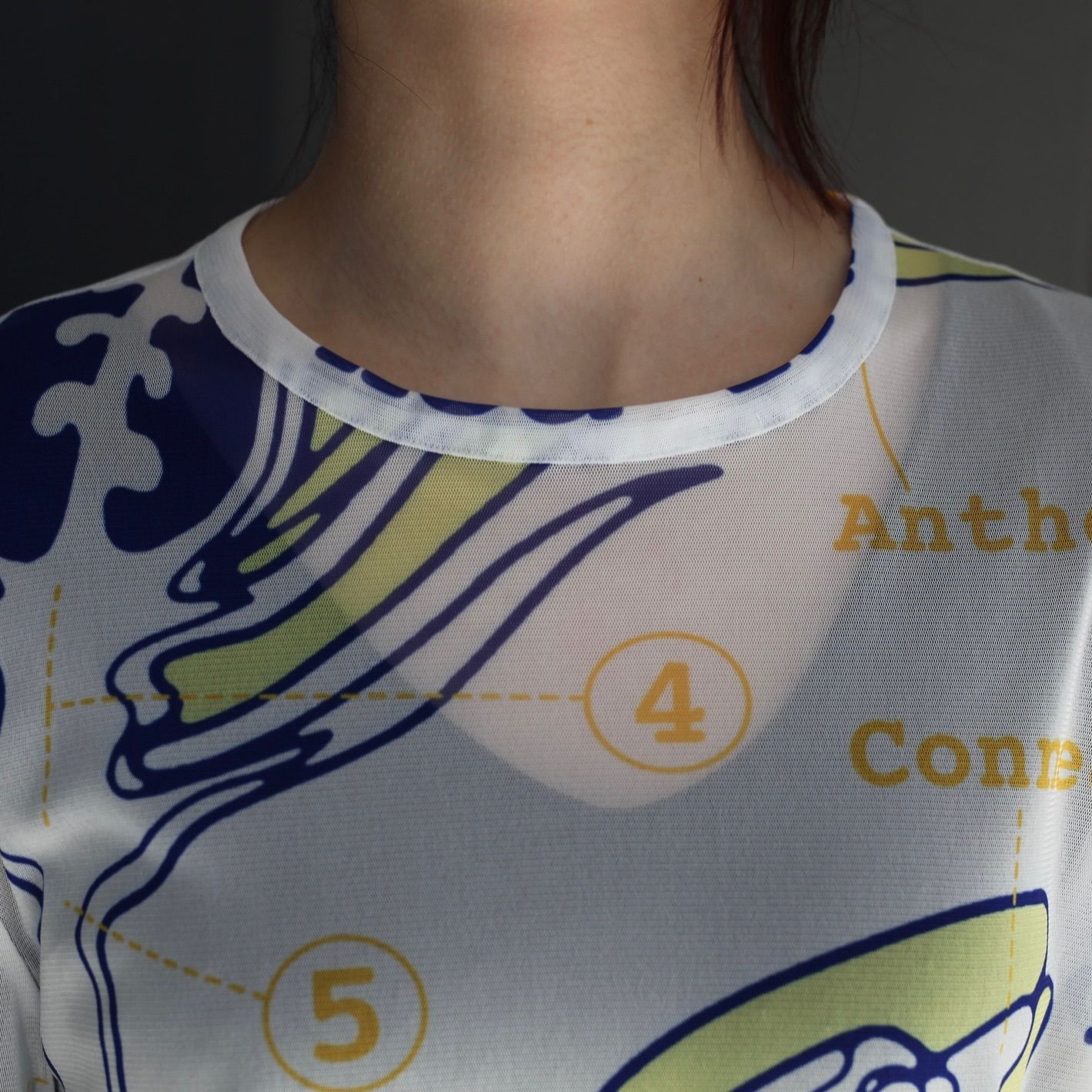 【残り一点】Graphic Mesh Top B