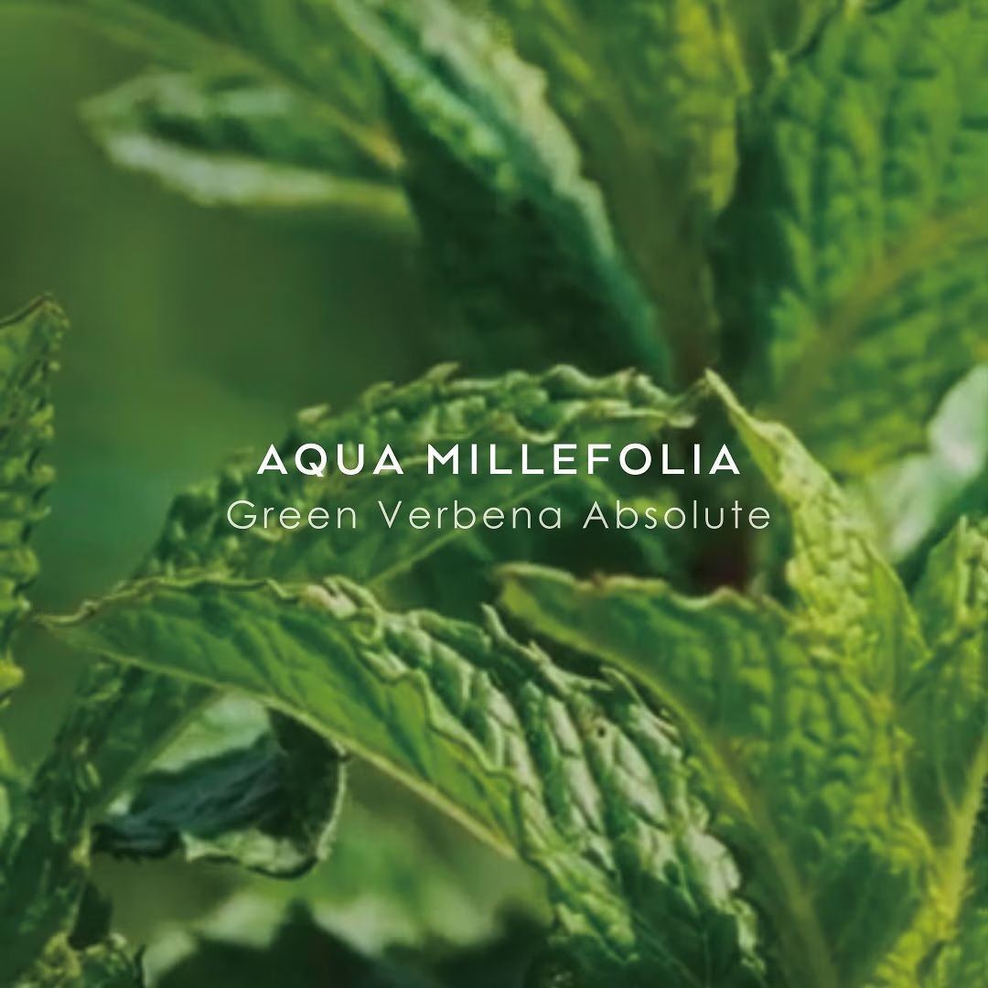 【残りわずか】ボタニカルコロン 10ml(AQUA MILLEFOLIA)