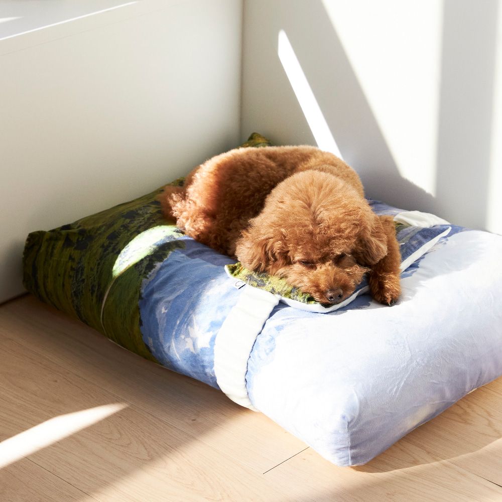【再販売通知受付可能】Swiss Enjoy Pet Cushion