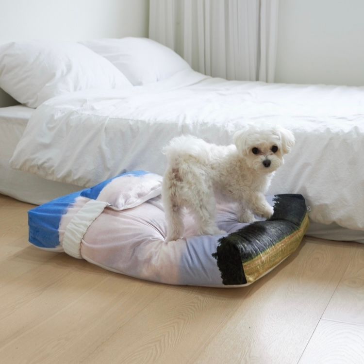 【残り一点】Jeju Landscape Pet Cushion