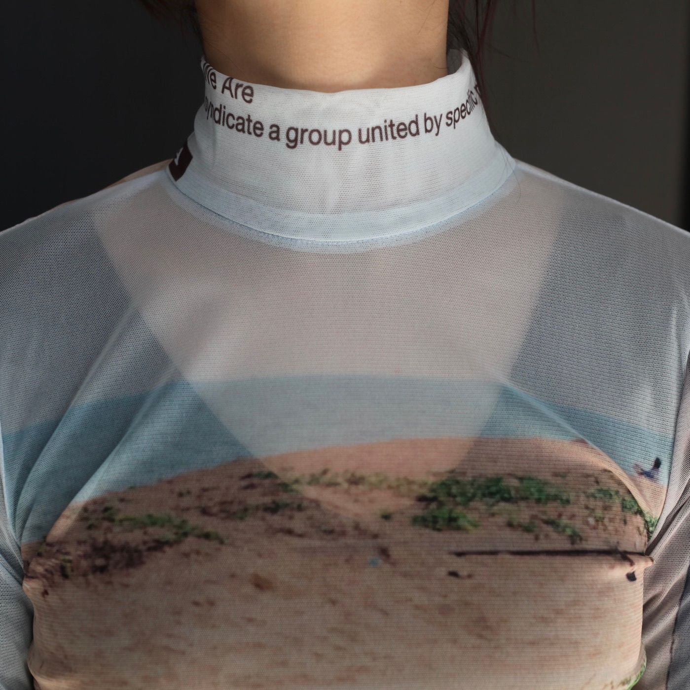 【残り一点】Graphic Mesh Top A