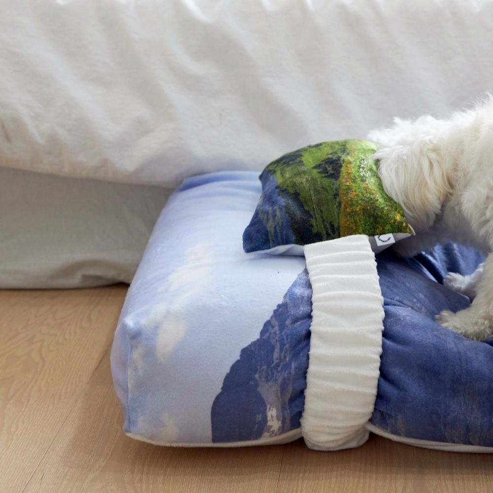 【再販売通知受付可能】Swiss Enjoy Pet Cushion