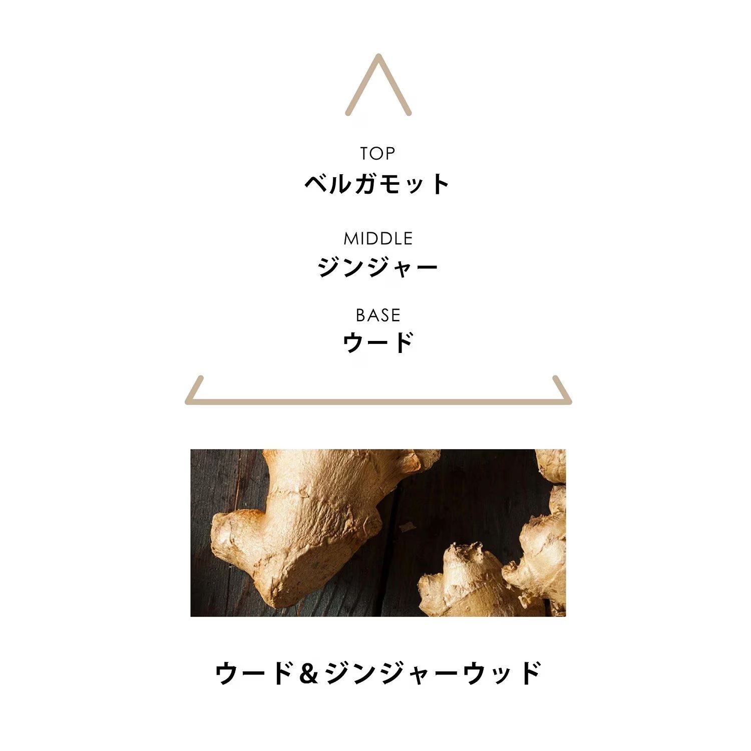 【残りわずか】シンギュラーオードパルファム 50ml(HELIACA)