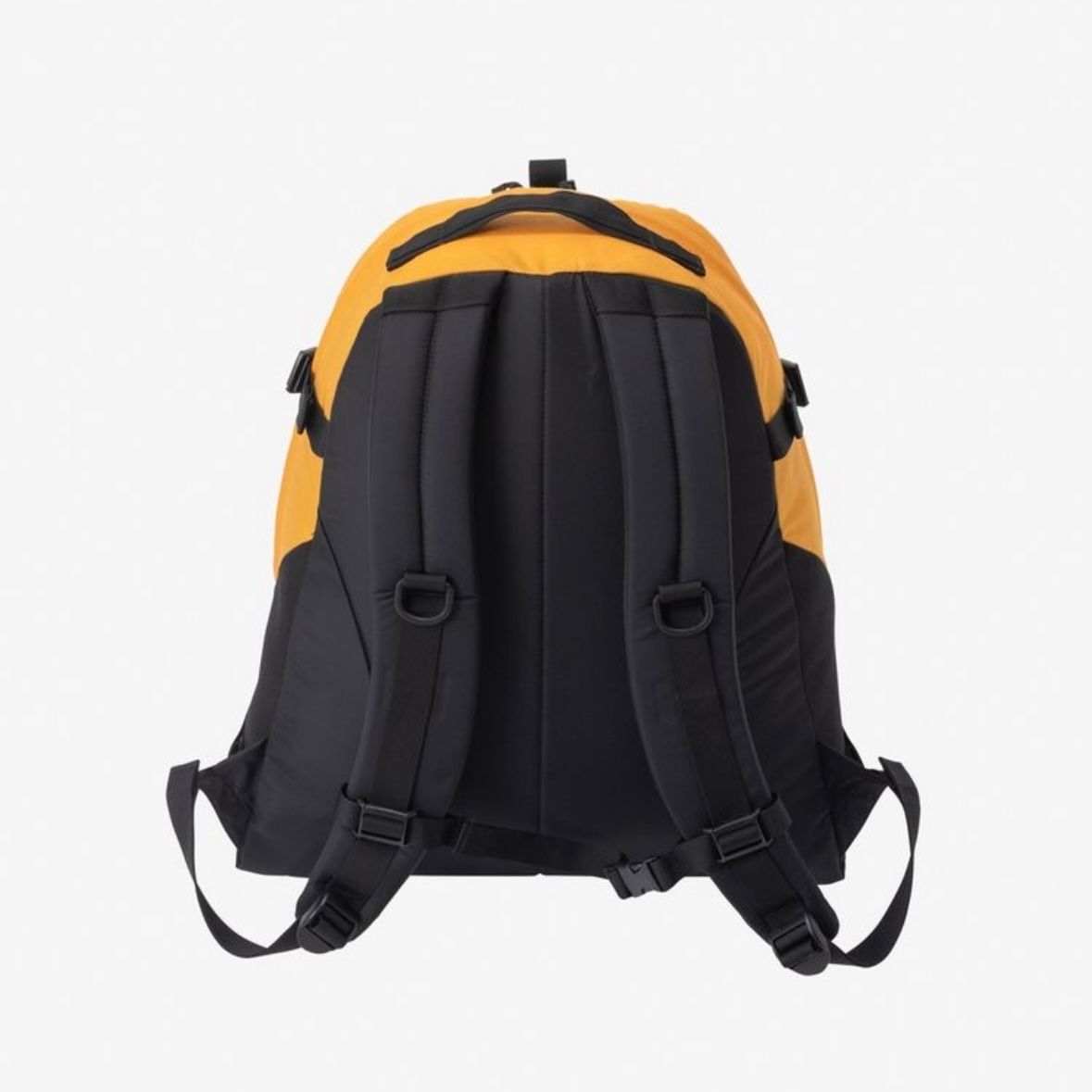 【残り一点】Kinkajou