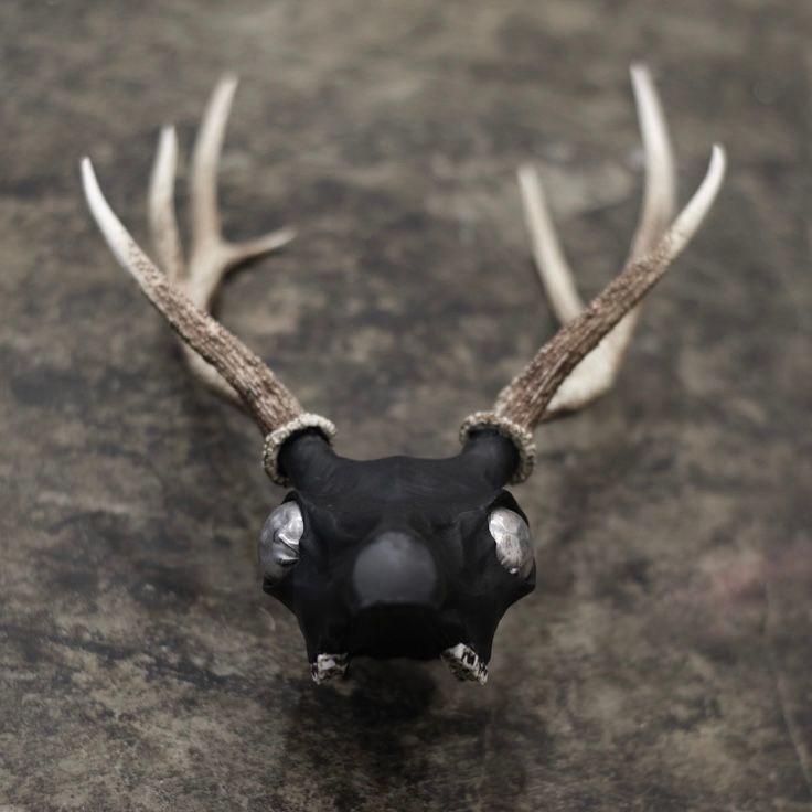 【お取り寄せ注文可能】Revive Deer Head