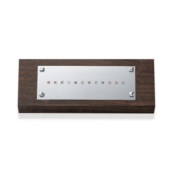 【お取り寄せ注文可能】Twelve Stone Pierce