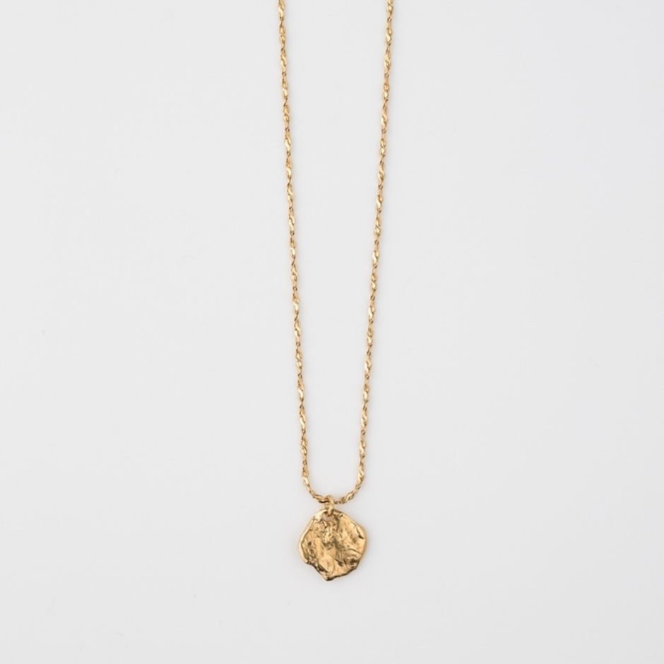 【お取り寄せ注文可能】Coin Necklace