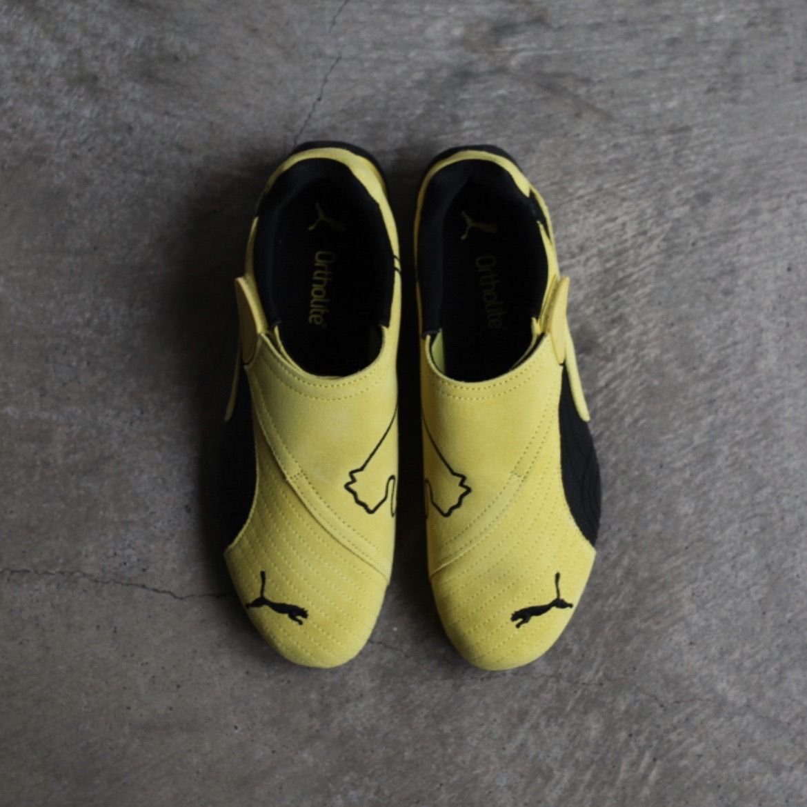 【残り一点】Slip Cat