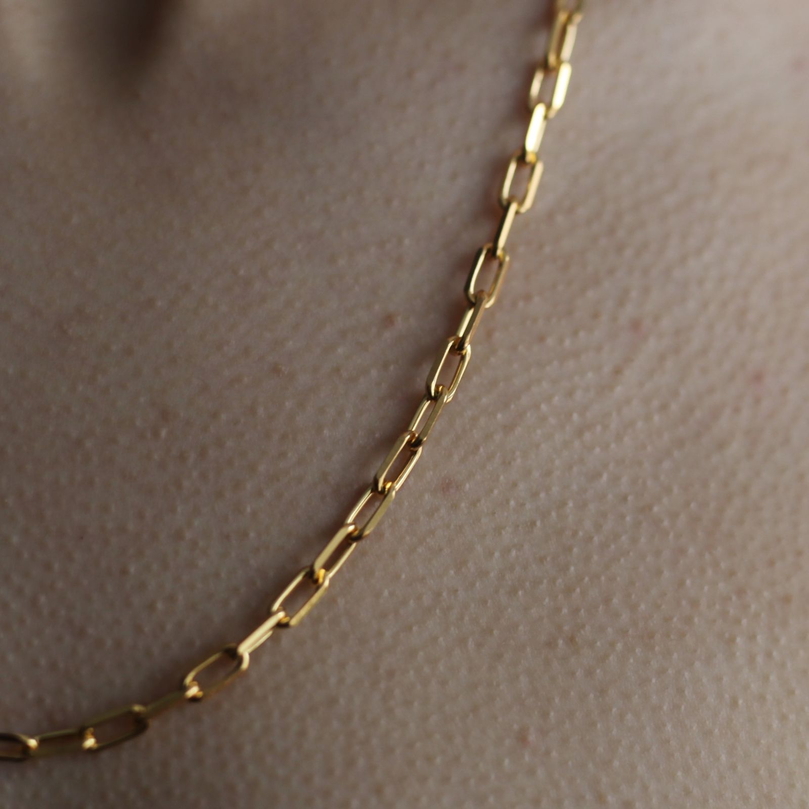 【お取り寄せ注文可能】Unisex Bold Cable Chain Necklace