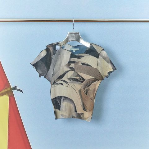 【残り一点】Sheer Graphic Tiny Top