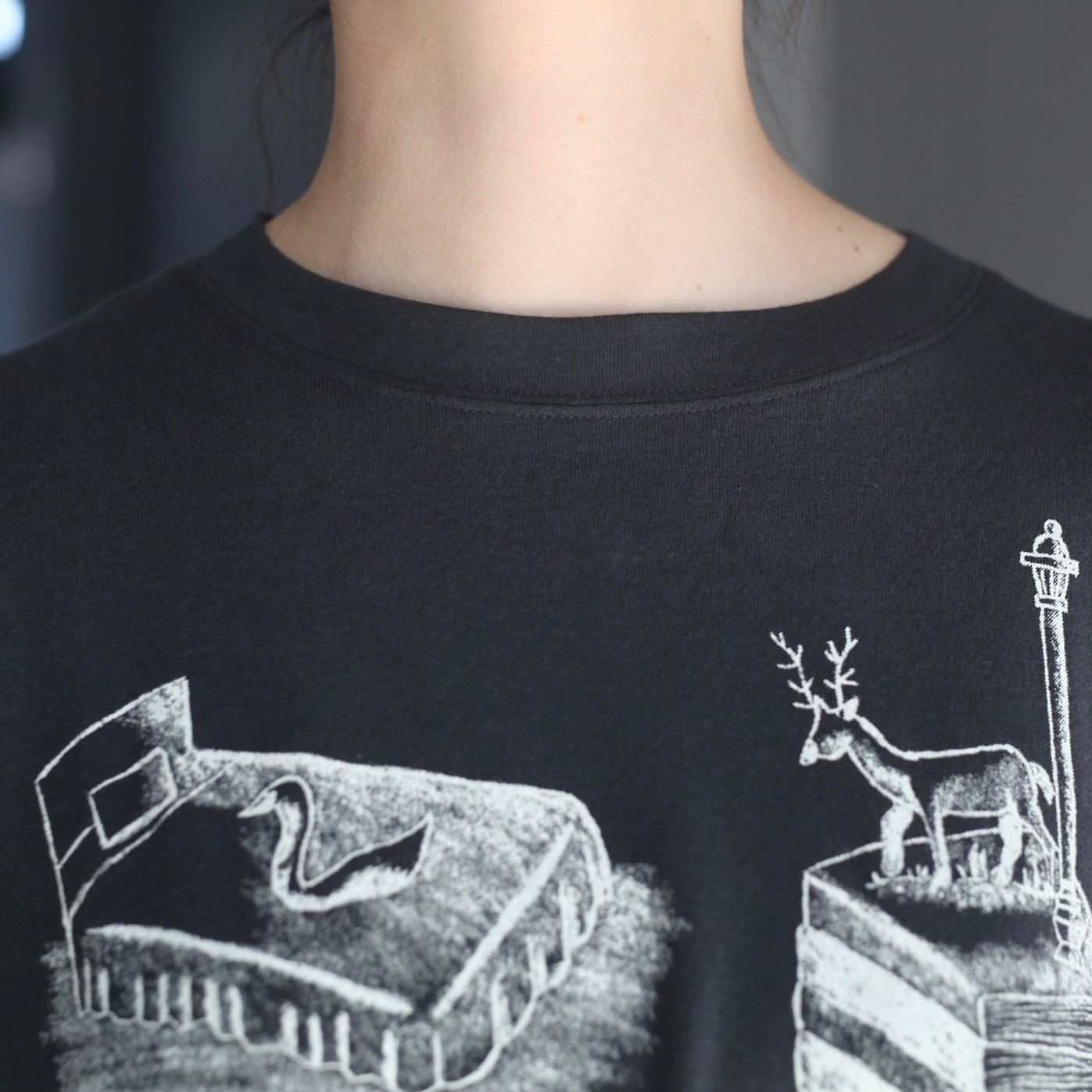 【残り一点】A Zoo Of A Room