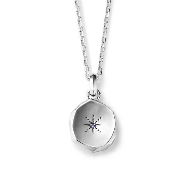 【お取り寄せ注文可能】Amulet Pendant_L(TANZANITE)