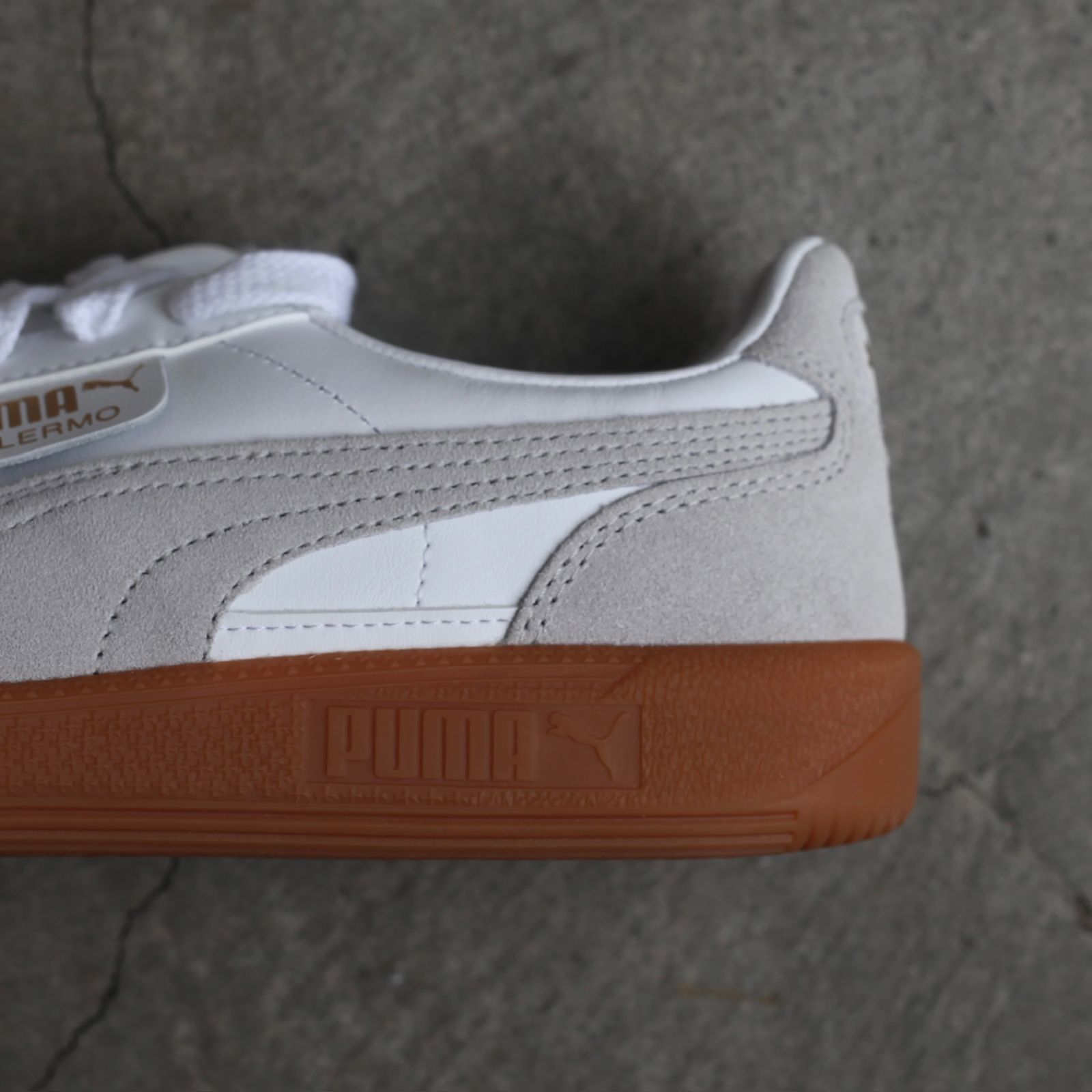 【残り一点】Palermo LTH