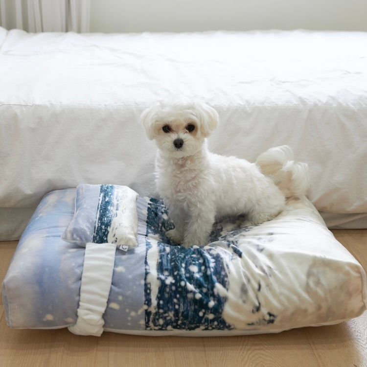 【残り一点】Jeju Westcoast Pet Cushion