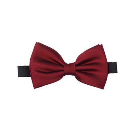 【残り一点】Silk Twill Bow Tie