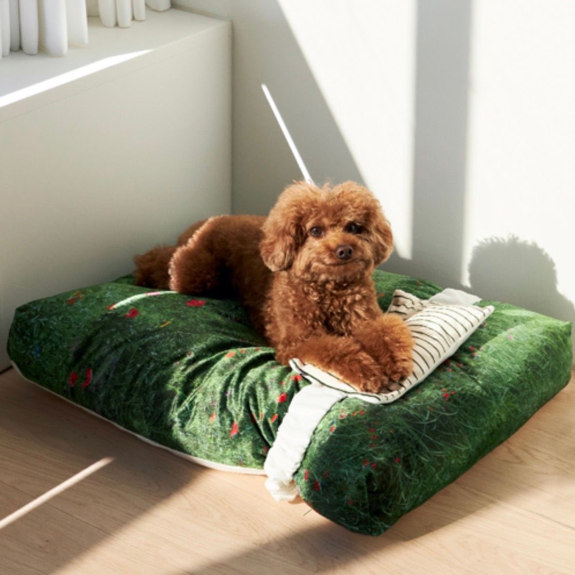 【再販売通知受付可能】Suncheon Blossom Pet Cushion
