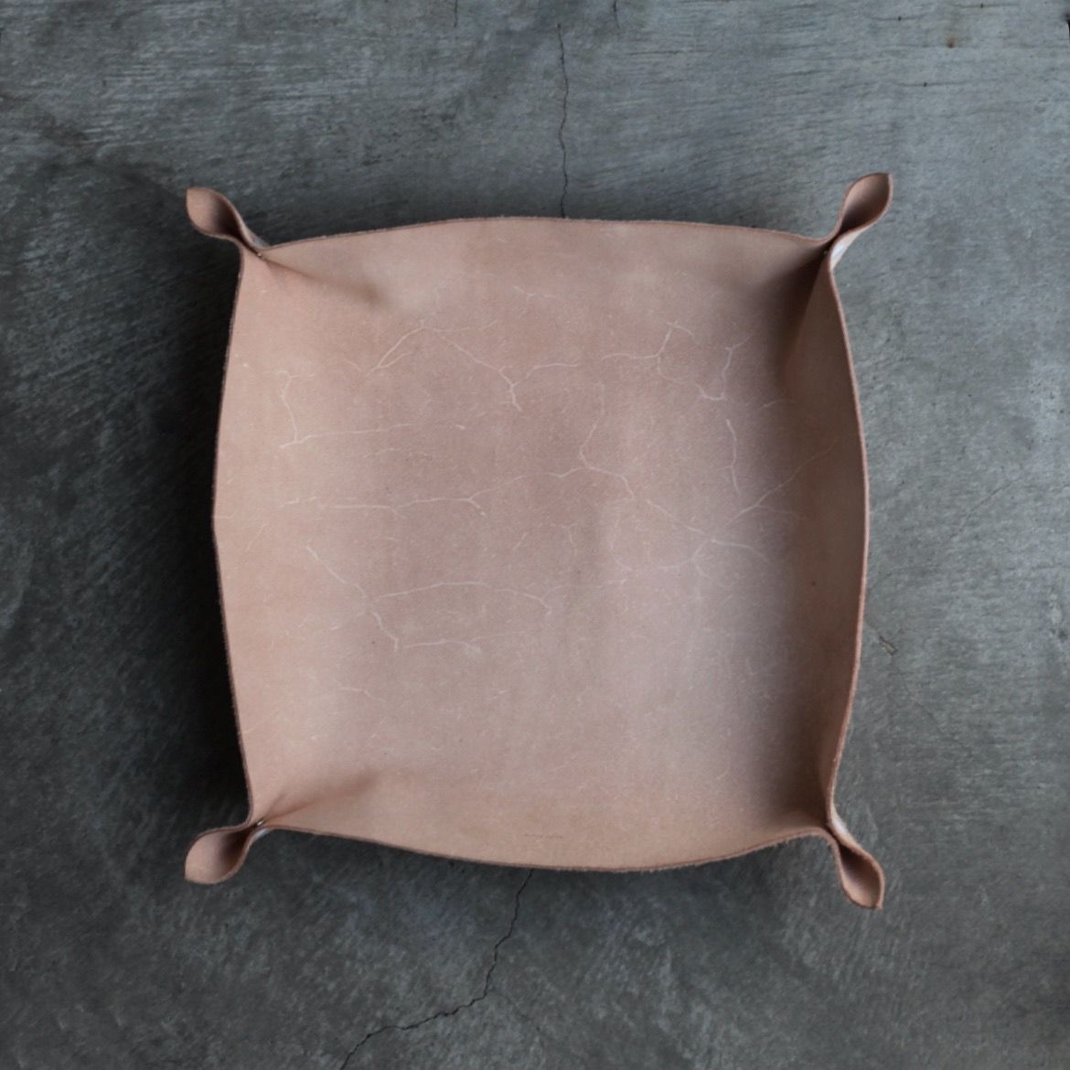 【残り一点】Tray_L