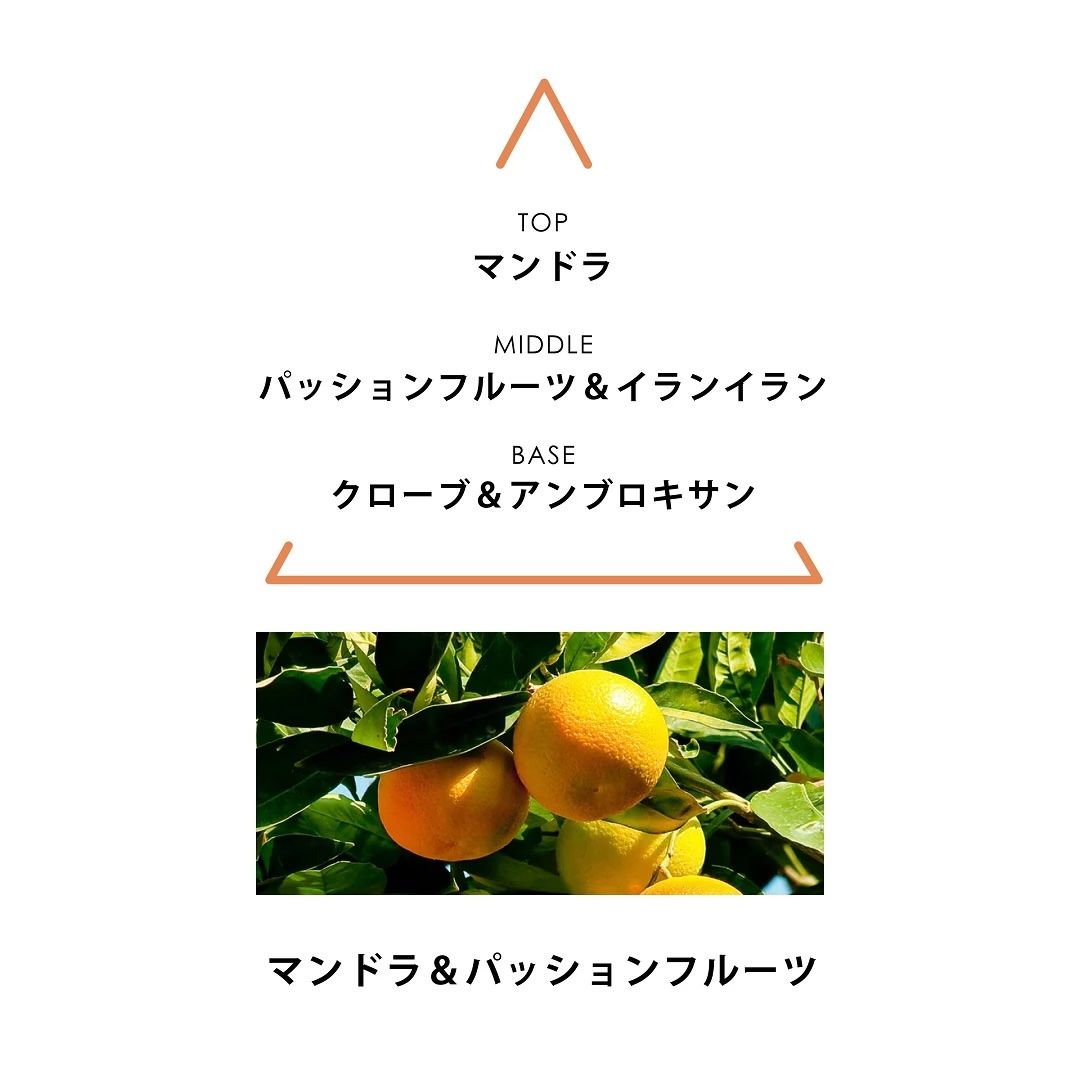 【残り一点】シンギュラーオードパルファム 50ml(AGAPI)