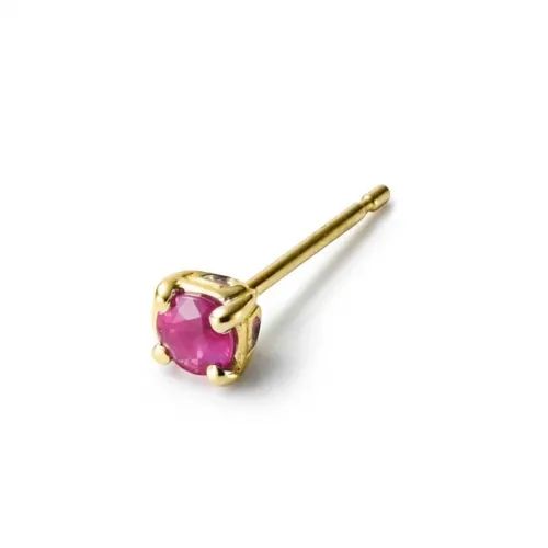 【お取り寄せ注文可能】G-Crown Pierce(K10 YELLOW GOLD×RED)