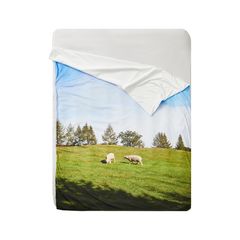 【再販売通知受付可能】Gangwondo Sheep 2 Blanket L