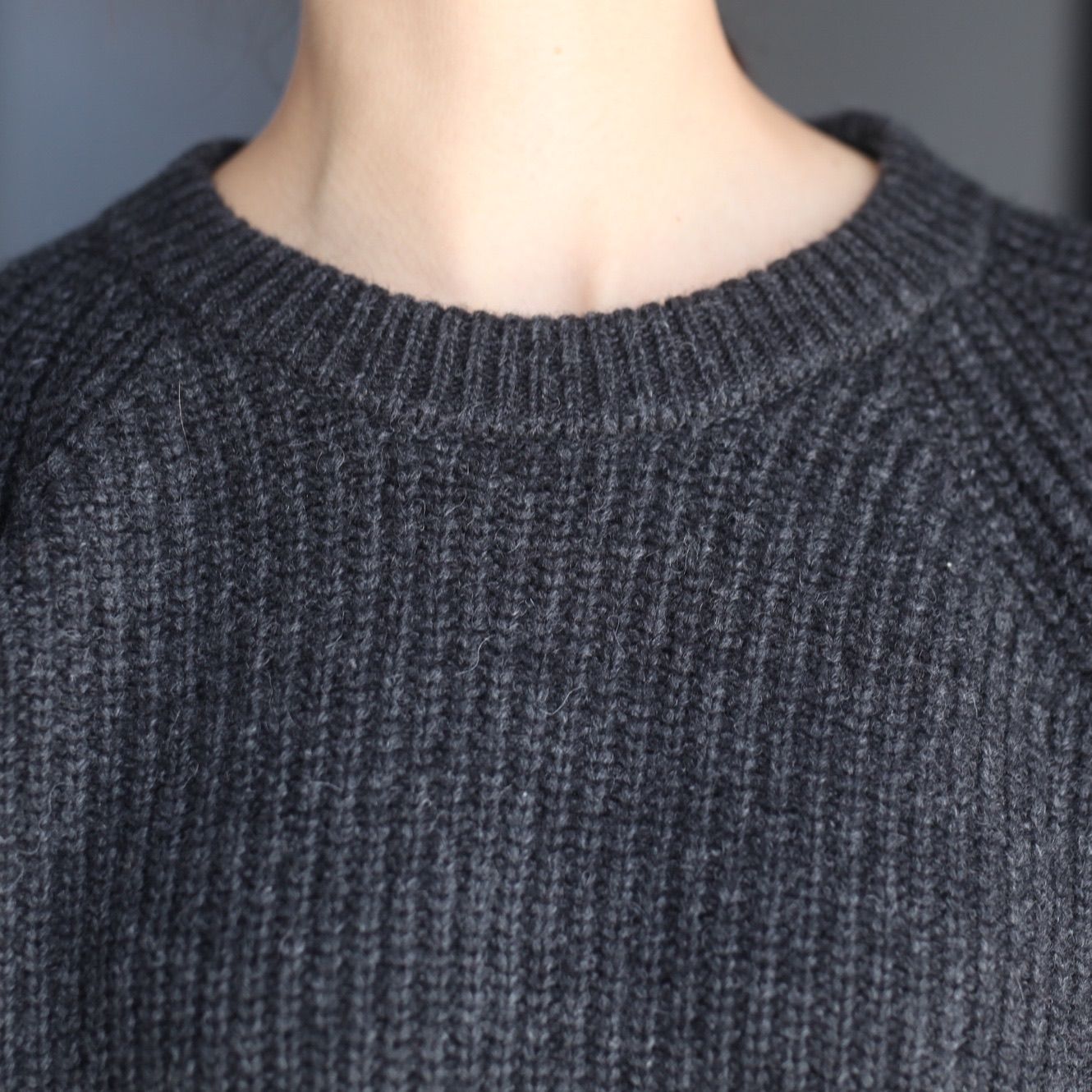 【残り一点】Warren Scott Crewneck Knit