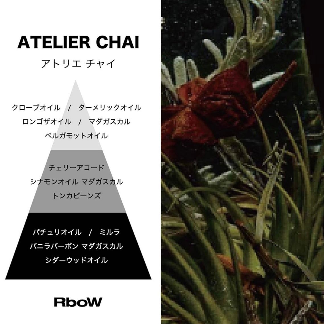 【残りわずか】Case Study Eau De Parfum 30ml(ATELIER CHAI)